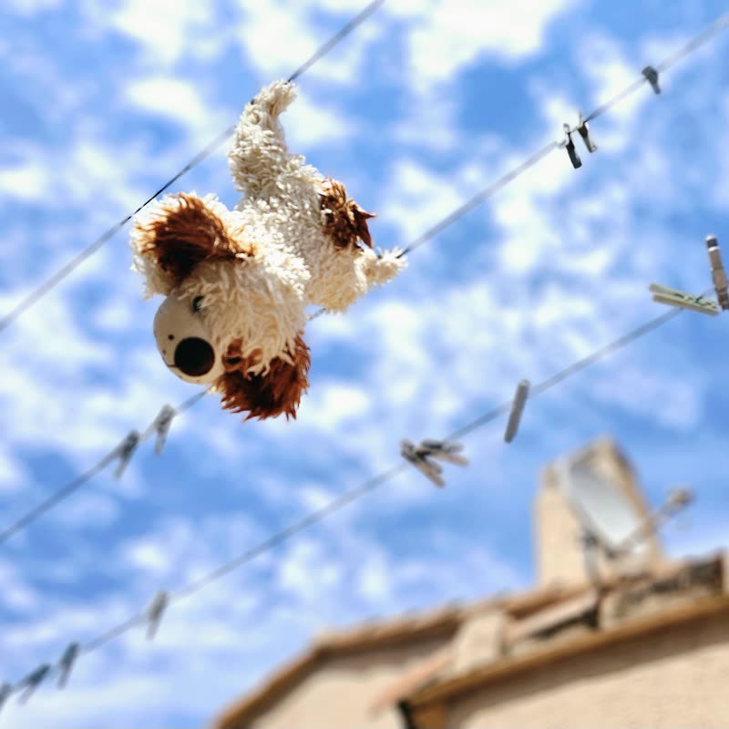 A plush toy pegged upside down on a washing line against a blue sky