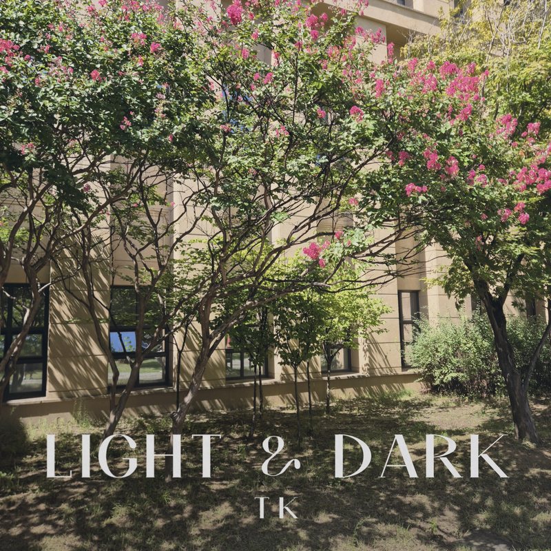 Cover of “Light & Dark” by TK: trees with pink blossoms in front of a pale building, sunlight and shade falling across the grass